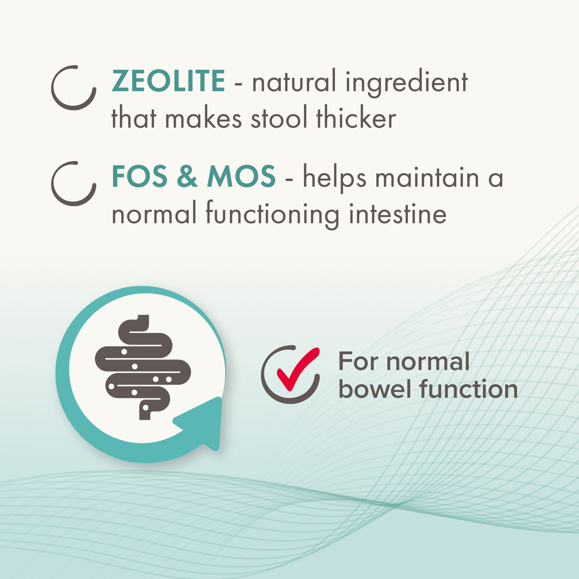 Beaphar IntestoPro Prebiotic Stool Firming Paste for Medium/Large Dogs (>15kg) - Image 3