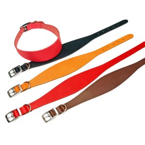 Basic Leather Hound Collar