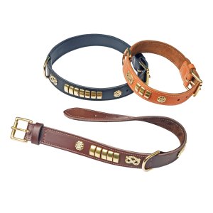Bull Terrier Decorated Collar