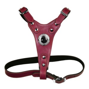 Bull Terrier Deluxe Leather Harness