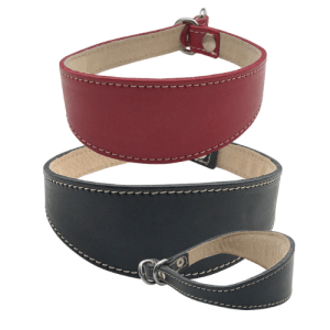 Hound Slip Collar