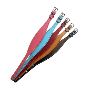 Italian Greyhound Leather Collar