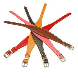 Padded Leather Hound Collars
