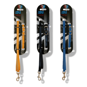 Puppy Collar and Lead Set