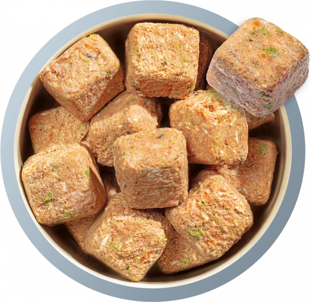 Natures Menu 60/40 Fish and Chicken with Vegetables and Brown Rice For Adult Dogs 1KG - Image 2