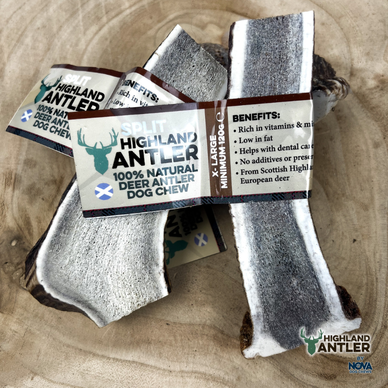 Antler Split Extra Large (+120g)