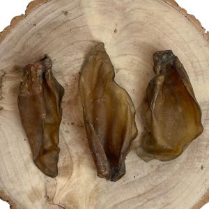 Large Buffalo Ears ( None Hairy )