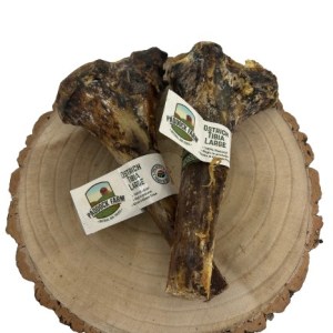 Ostrich Large Tibia Bone