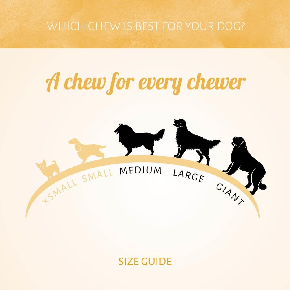 Antos Meaty Bones Beef 6-7″ - Single - Image 5