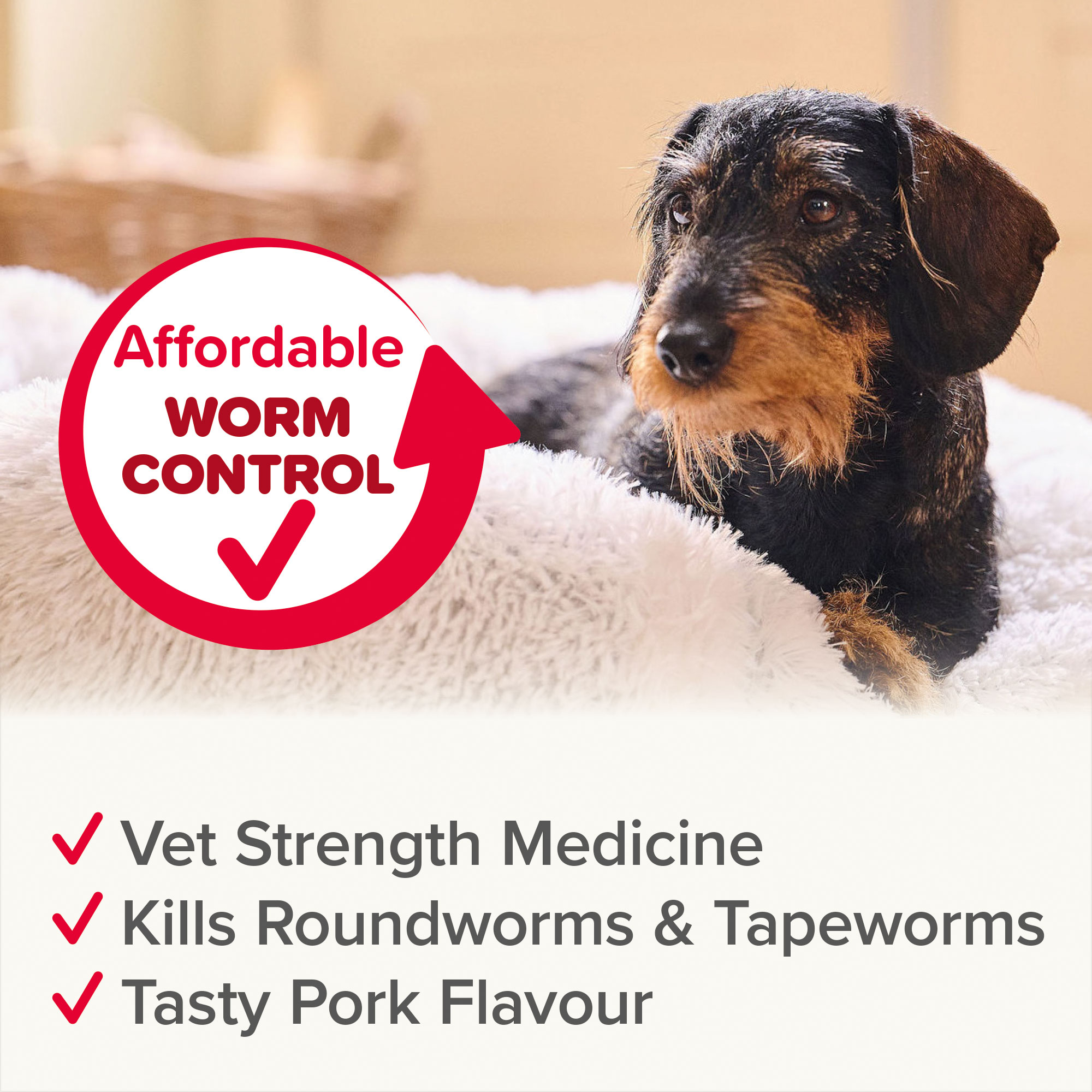 Beaphar WORMclear® Worming Tablets for Dogs (up to 20kg) - Image 6