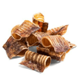 Tommy's Hollow Trachea (12cm)