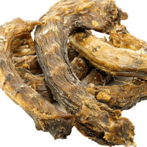 Tommy Duck Neck - Single