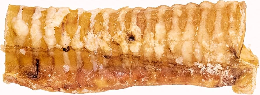 Tommy's Buffalo Trachea