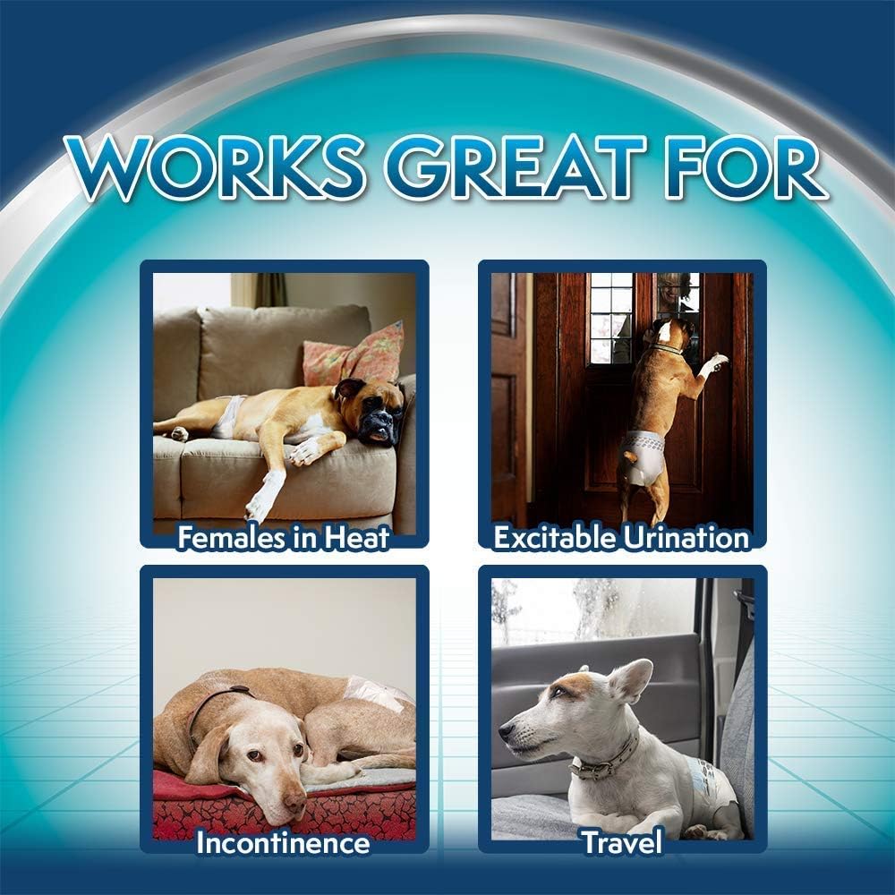 Simple Solution Disposable Dog Diapers - Image 7