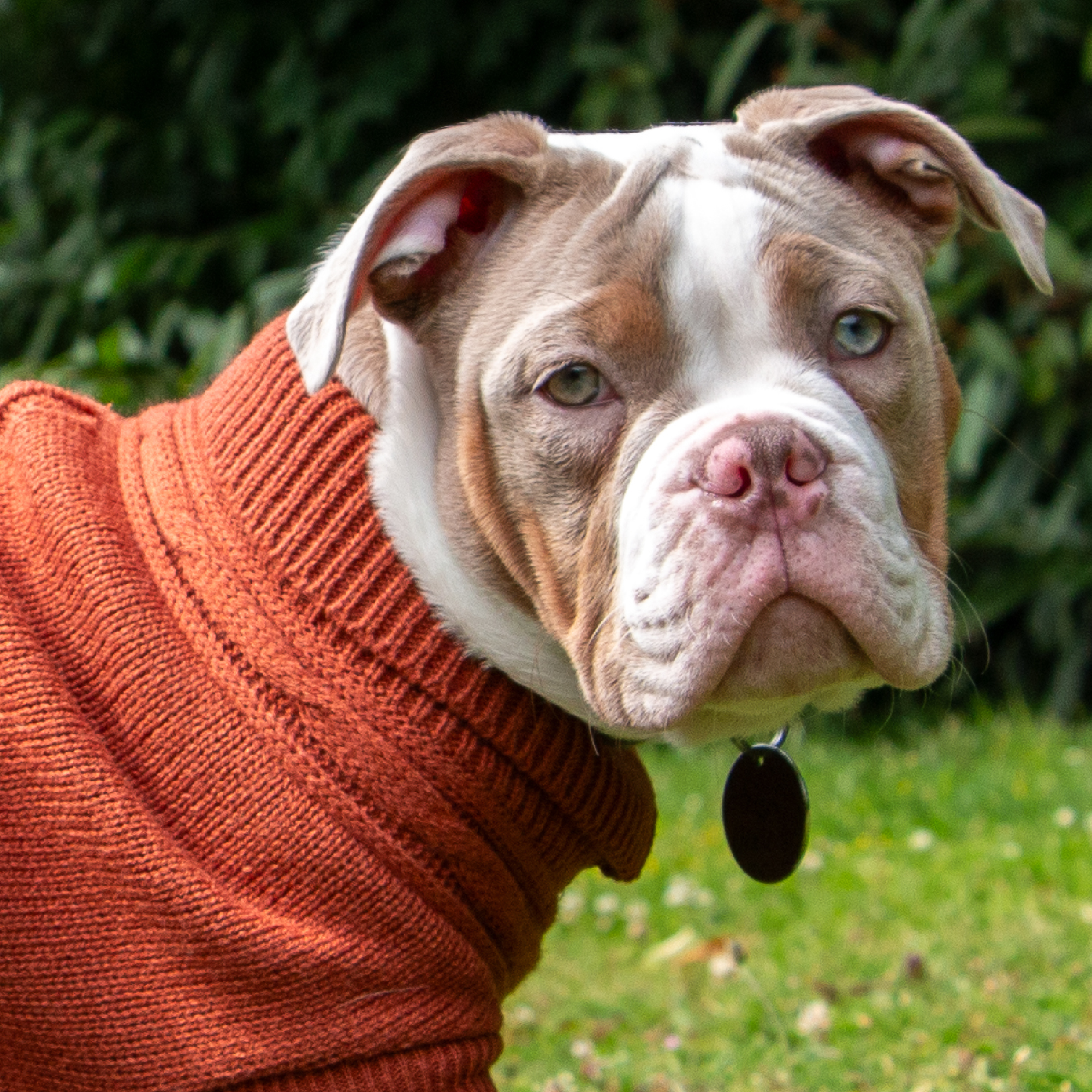 Terracotta Cable Kint Jumper - Image 2