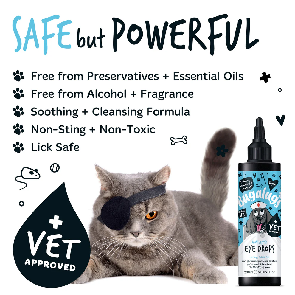 Bugalugs Antiseptic Eye Drops for Dogs, Cats & Pets - Image 4
