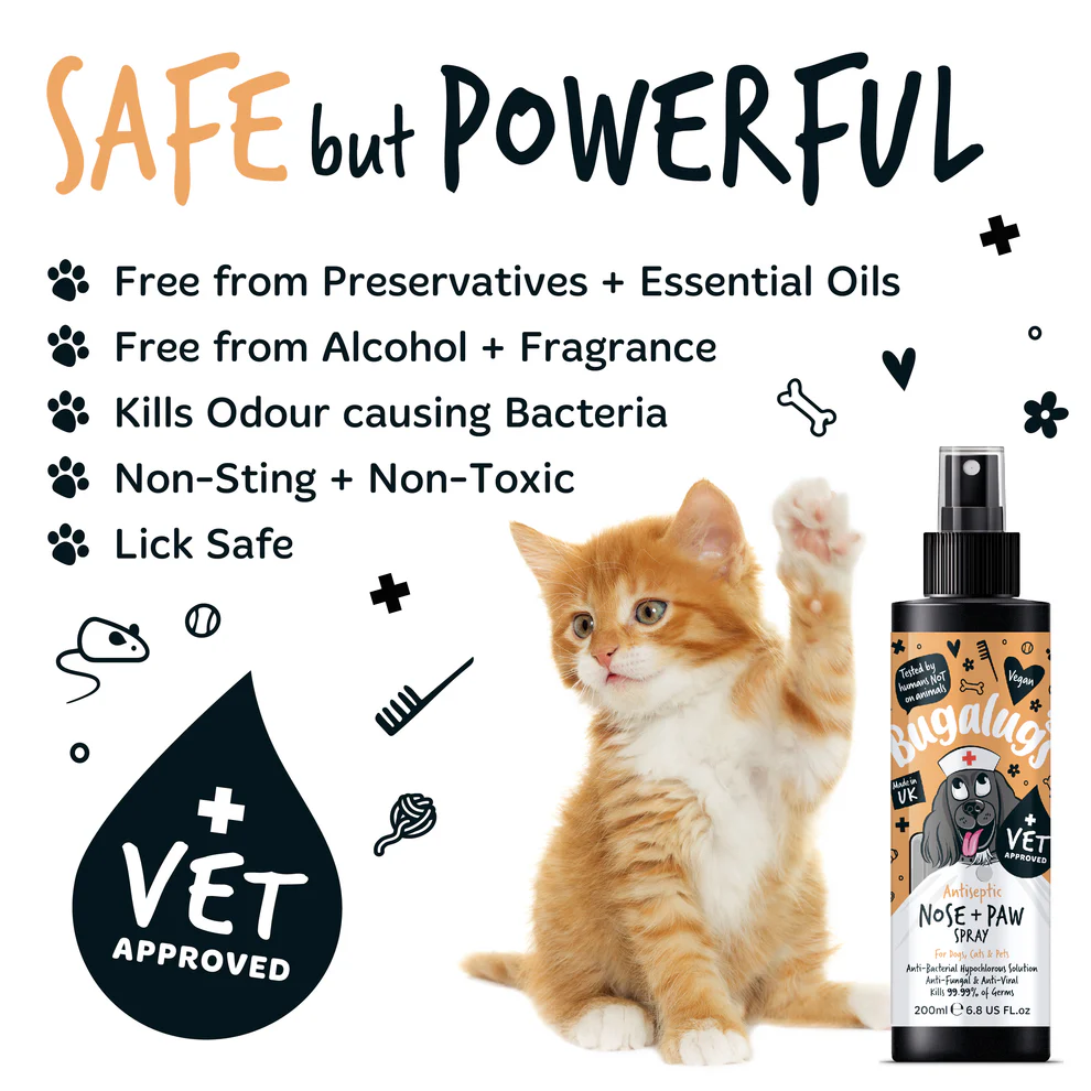 Bugalugs Antiseptic Nose & Paw Spray for Dogs, Cats & Pets - Image 4