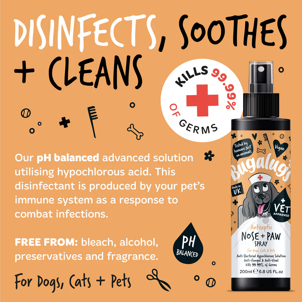 Bugalugs Antiseptic Nose & Paw Spray for Dogs, Cats & Pets - Image 5