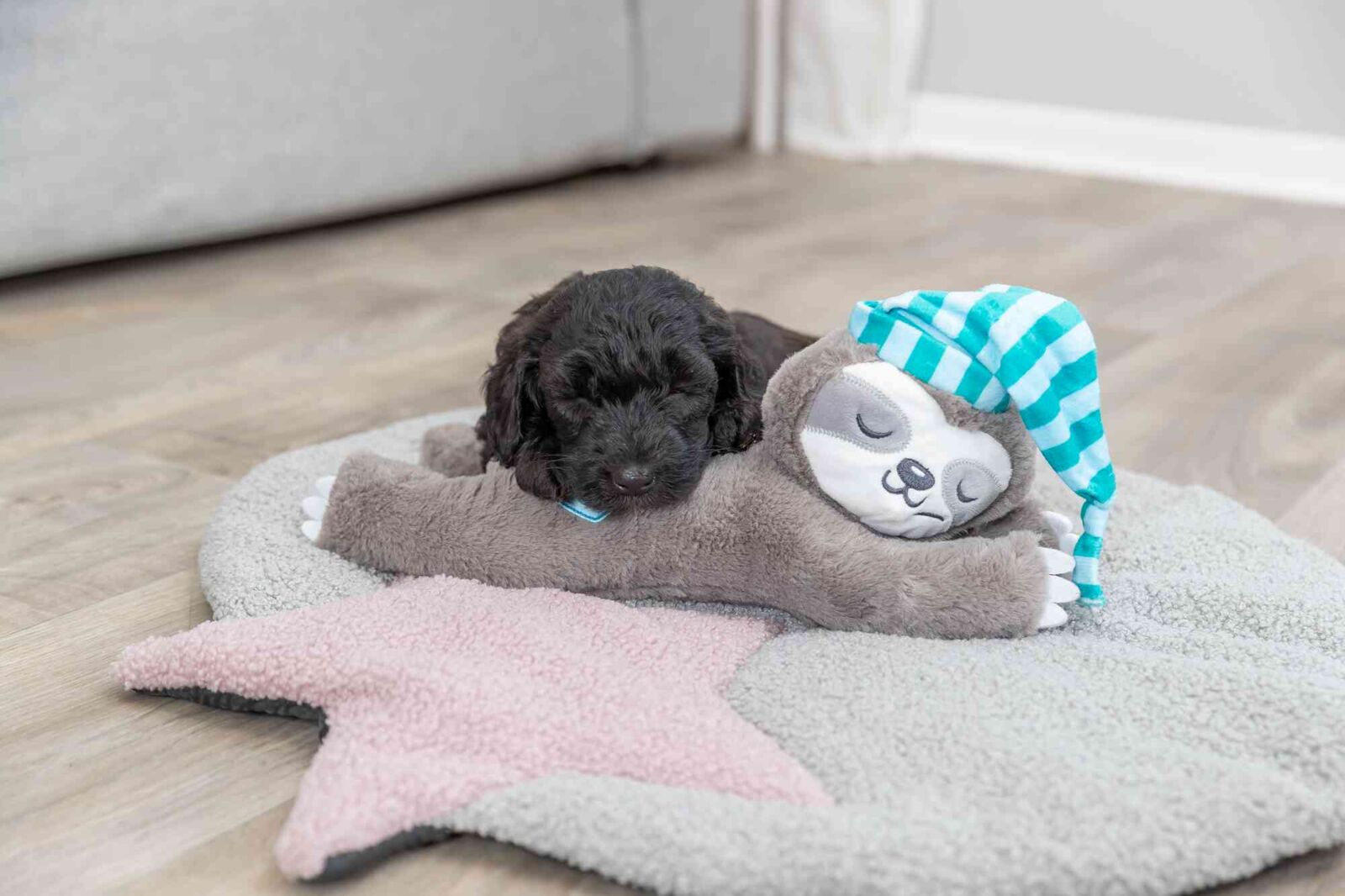 Junior Sloth Dog Toy With Heartbeat - Image 3