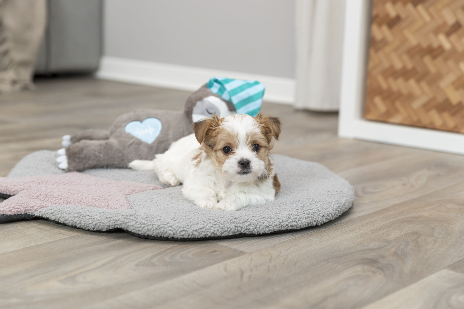 Junior Sloth Dog Toy With Heartbeat - Image 5