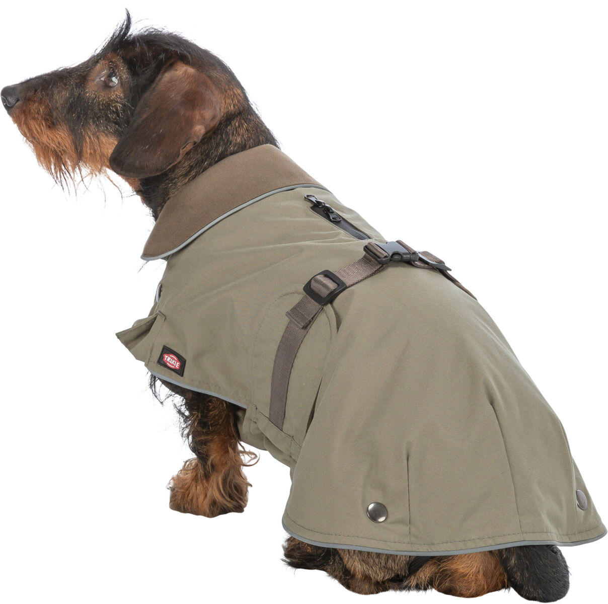 Coat Hermy 2 in 1 -special fit for slim long dogs, e.g. dachshunds - Image 3
