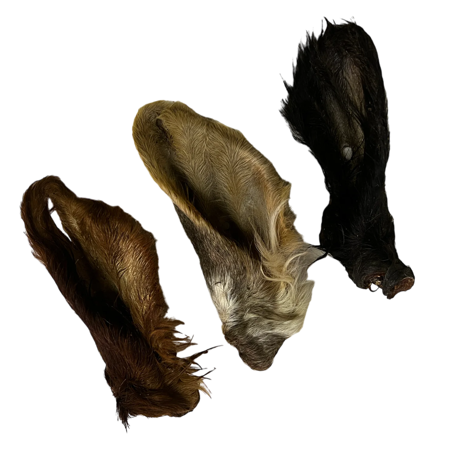 Tommy's Hairy Cows Ears 3 Pack