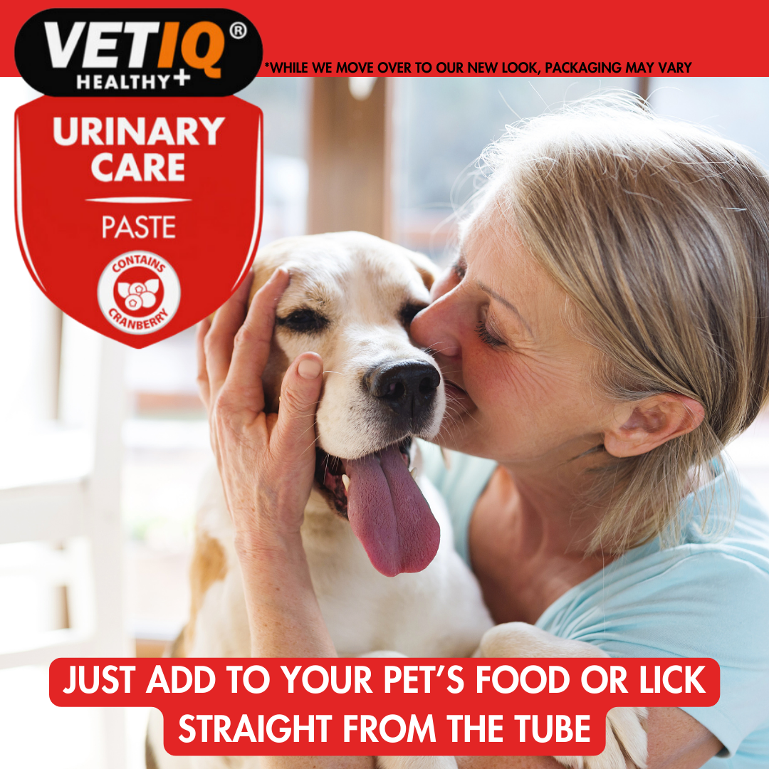 VETIQ® Urinary Care Paste - 100Gm - Image 5