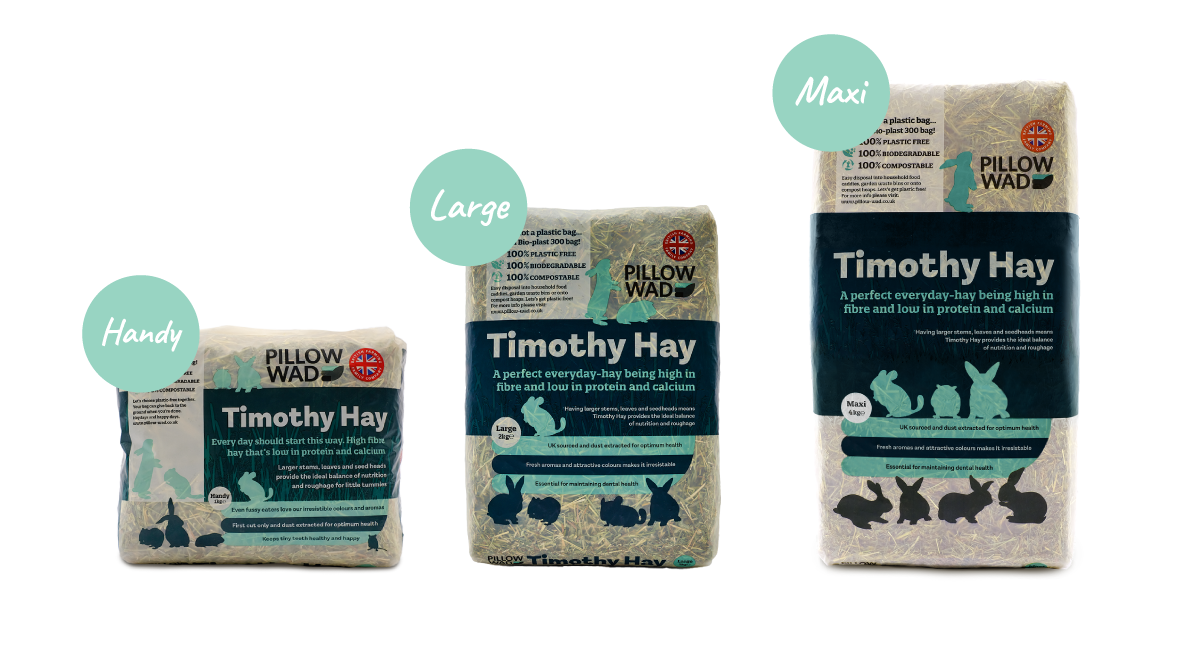 Timothy Hay - Image 2