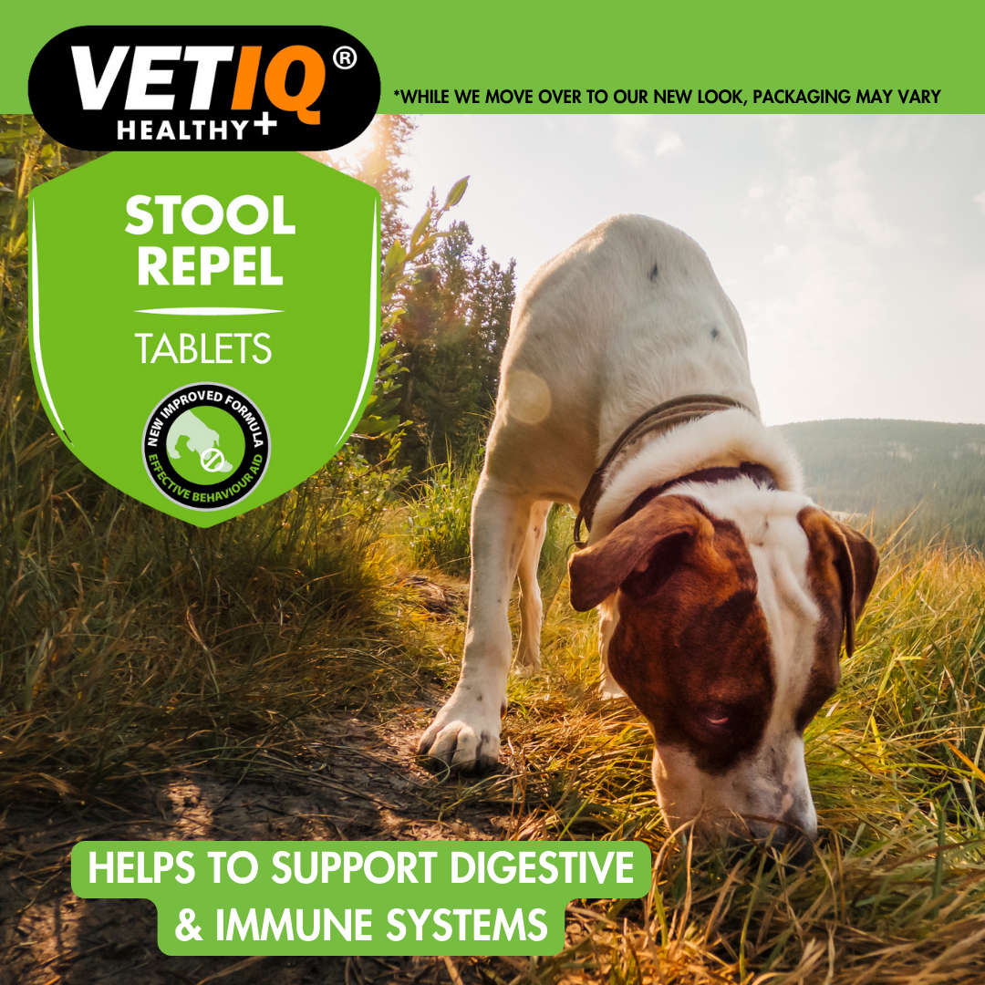 VETIQ® Stool Repel Tablets - 30 Tablets - Image 4