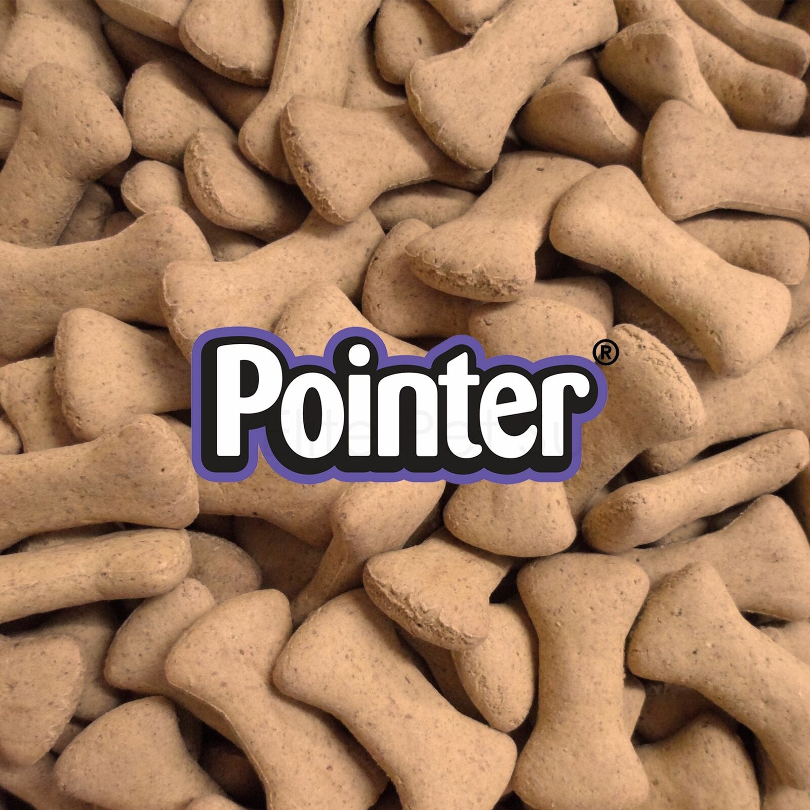 Pointer Cheese Flavoured Bones Dog Treat Biscuits Crunchy Oven Baked 1 KILO BAG