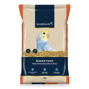 Budgie Food