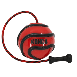 KONG Wavz Bunjiball