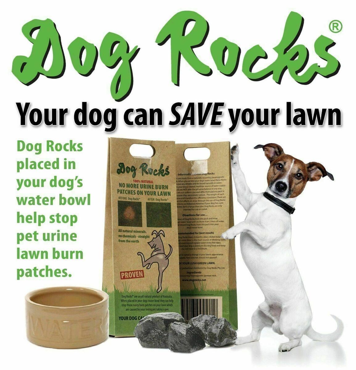 Dog Rocks - Urine Patch Preventer (200g) - Natural Dog Urine Neutraliser for Water Bowls, Grass Repair, Urine Burn Patch Repair - Image 2