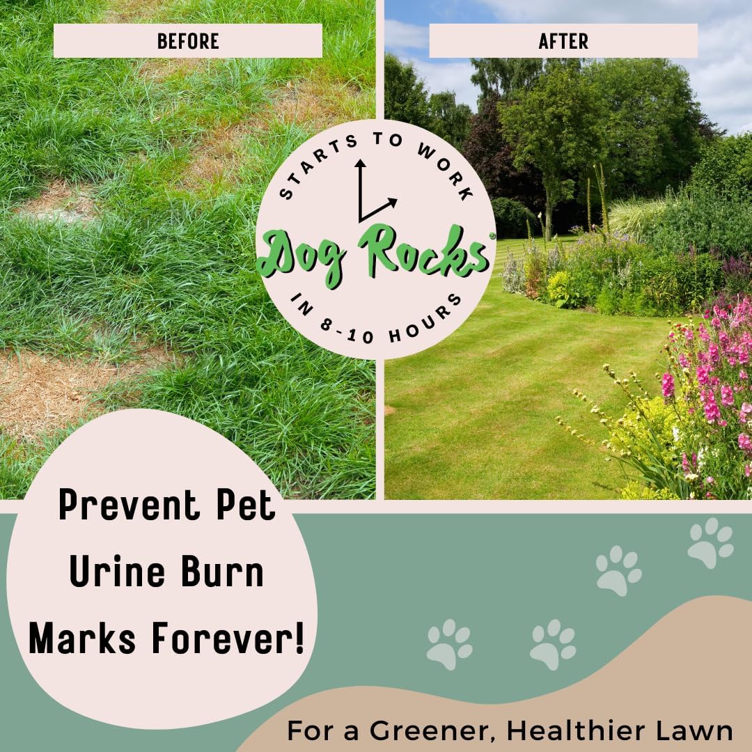 Dog Rocks - Urine Patch Preventer (600g) - Natural Dog Urine Neutraliser for Water Bowls, Grass Repair, Urine Burn Patch Repair - Image 6