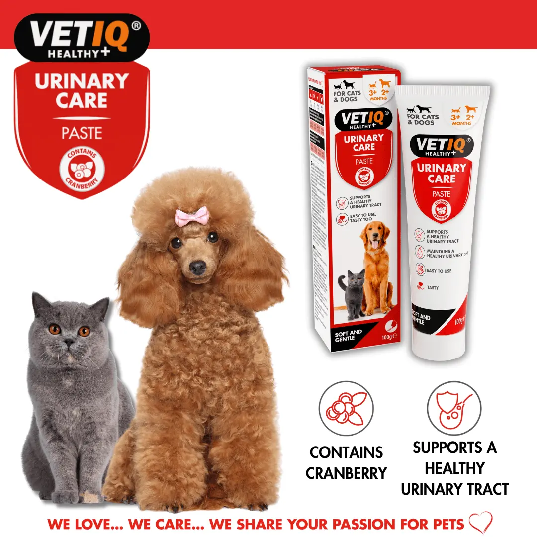VETIQ Urinary Care Paste For Cats and Dogs - Image 3
