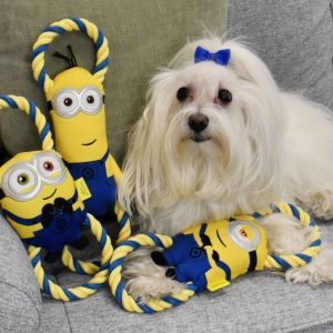 BRAND NEW 2025 MINNIONS DOG TOYS FULL RANGE