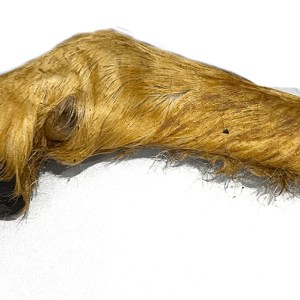 Hairy Lamb Trotter - Single