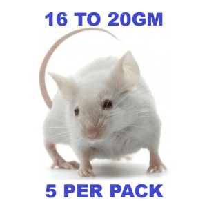 Tommy's Frozen Mouse Medium 16-20g, 5pack