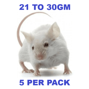 Tommy's Frozen Large Mice (21-30g)	5 pack