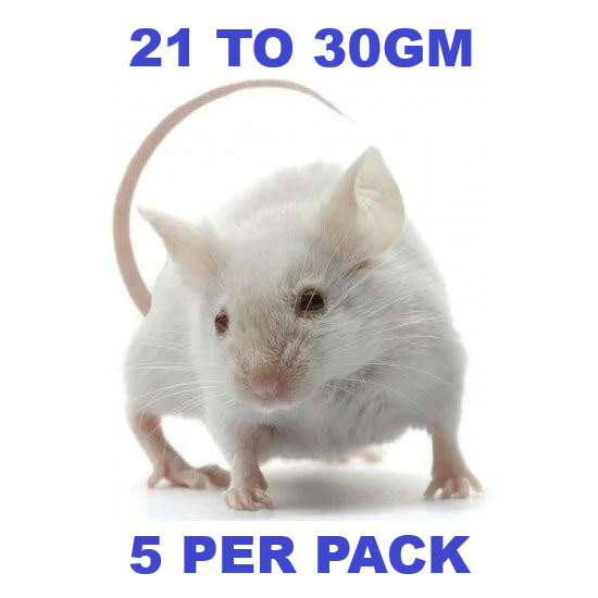 Tommy's Frozen Large Mice (21-30g) 5 pack