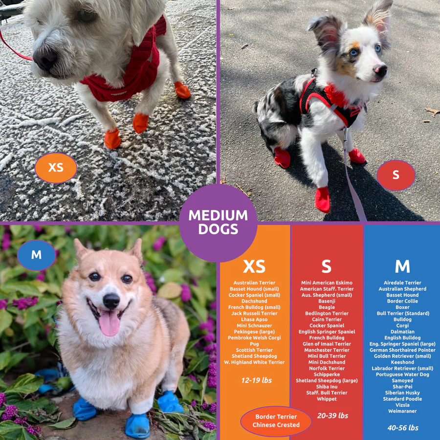 PawZ Rubber Dog Boots, 12 Boots - MEDIUM SIZE - Image 6