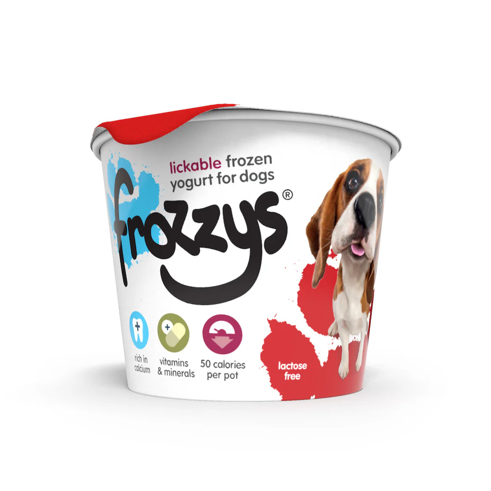 Frozzys Frozen Yogurt - Strawberry - Single Tub - Image 2