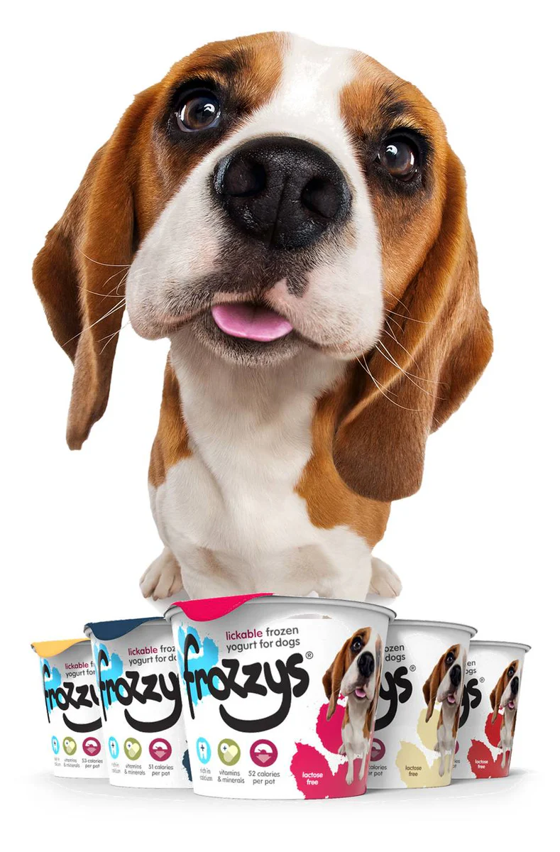 Frozzys Frozen Yogurt - Cranberry - Single Tub - Image 4