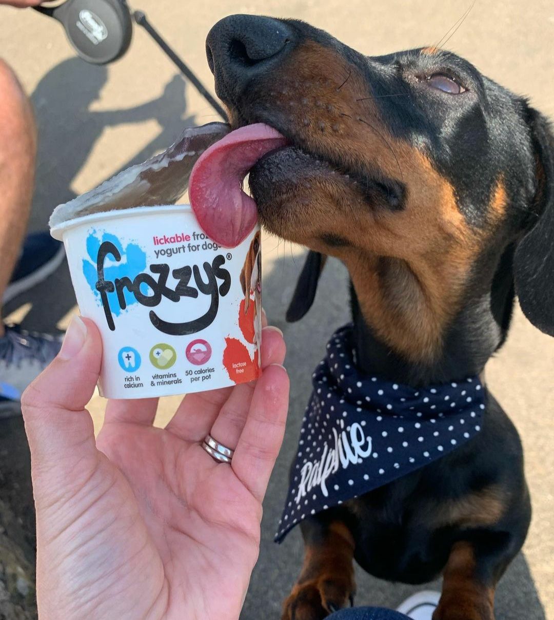 Frozzys Frozen Yogurt - Strawberry - Single Tub - Image 5