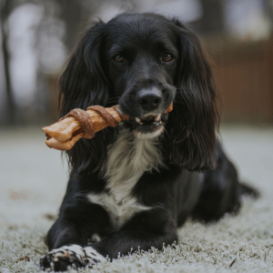 Tommy's All Natural Biltong Wrapped Lamb Trotter