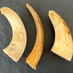 Lamb Horn Marrow Bones - 3 pack