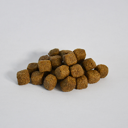 SKINNER'S Field & Trial Lamb & Rice 15KG - Image 2