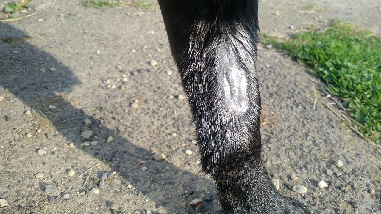 Aqueos Spray on Plaster - Image 2