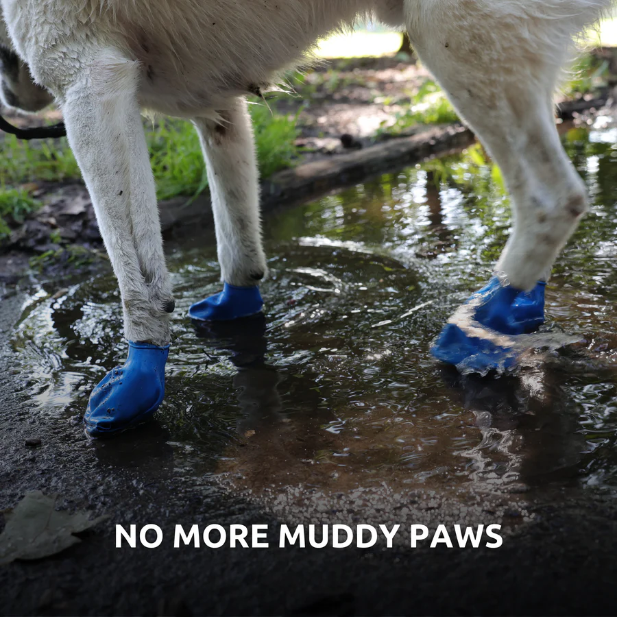 PawZ Rubber Dog Boots, 12 Boots - MEDIUM SIZE - Image 7