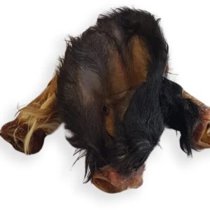 Tommy's Hairy Cows Ear - Single